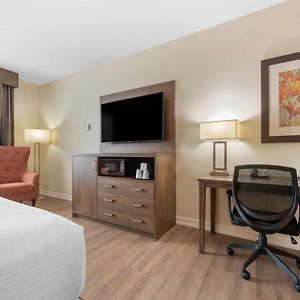 Queen Room Two Queen Beds Non Smoking